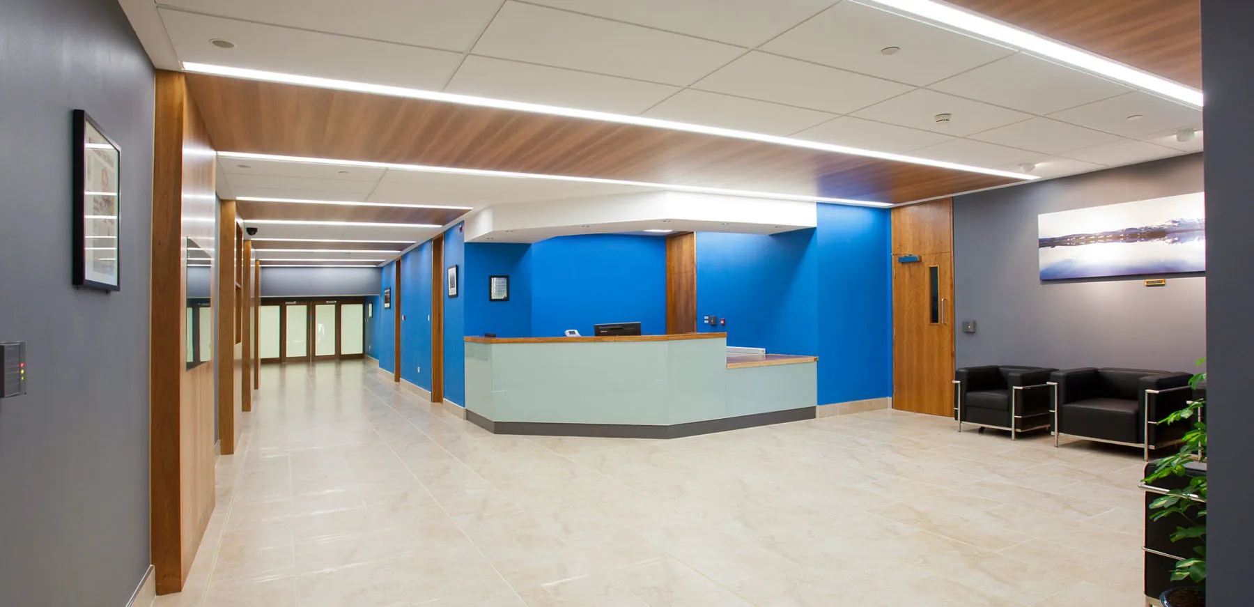 Project image for Allergan Reception Refurbishment